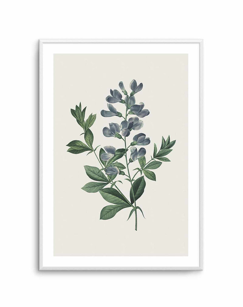 Botanica I Art Print-PRINT-Olive et Oriel-Olive et Oriel-A5 | 5.8" x 8.3" | 14.8 x 21cm-Unframed Art Print-With White Border-Buy-Australian-Art-Prints-Online-with-Olive-et-Oriel-Your-Artwork-Specialists-Austrailia-Decorate-With-Coastal-Photo-Wall-Art-Prints-From-Our-Beach-House-Artwork-Collection-Fine-Poster-and-Framed-Artwork