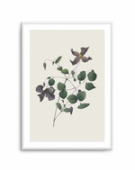 Botanica II Art Print-PRINT-Olive et Oriel-Olive et Oriel-A5 | 5.8" x 8.3" | 14.8 x 21cm-Unframed Art Print-With White Border-Buy-Australian-Art-Prints-Online-with-Olive-et-Oriel-Your-Artwork-Specialists-Austrailia-Decorate-With-Coastal-Photo-Wall-Art-Prints-From-Our-Beach-House-Artwork-Collection-Fine-Poster-and-Framed-Artwork