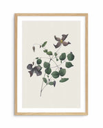 Botanica II Art Print-PRINT-Olive et Oriel-Olive et Oriel-A5 | 5.8" x 8.3" | 14.8 x 21cm-Oak-With White Border-Buy-Australian-Art-Prints-Online-with-Olive-et-Oriel-Your-Artwork-Specialists-Austrailia-Decorate-With-Coastal-Photo-Wall-Art-Prints-From-Our-Beach-House-Artwork-Collection-Fine-Poster-and-Framed-Artwork
