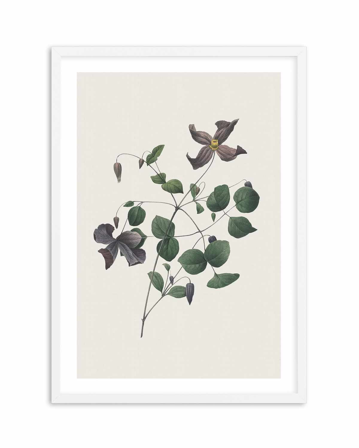 Botanica II Art Print-PRINT-Olive et Oriel-Olive et Oriel-A5 | 5.8" x 8.3" | 14.8 x 21cm-White-With White Border-Buy-Australian-Art-Prints-Online-with-Olive-et-Oriel-Your-Artwork-Specialists-Austrailia-Decorate-With-Coastal-Photo-Wall-Art-Prints-From-Our-Beach-House-Artwork-Collection-Fine-Poster-and-Framed-Artwork