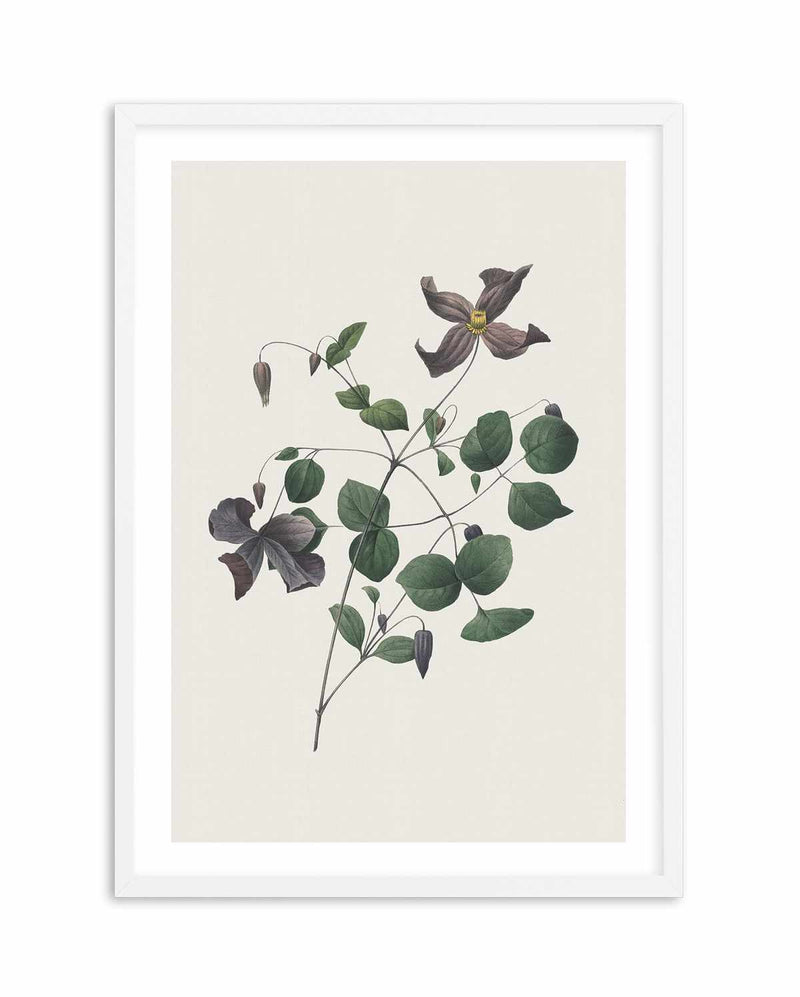 Botanica II Art Print-PRINT-Olive et Oriel-Olive et Oriel-A5 | 5.8" x 8.3" | 14.8 x 21cm-White-With White Border-Buy-Australian-Art-Prints-Online-with-Olive-et-Oriel-Your-Artwork-Specialists-Austrailia-Decorate-With-Coastal-Photo-Wall-Art-Prints-From-Our-Beach-House-Artwork-Collection-Fine-Poster-and-Framed-Artwork
