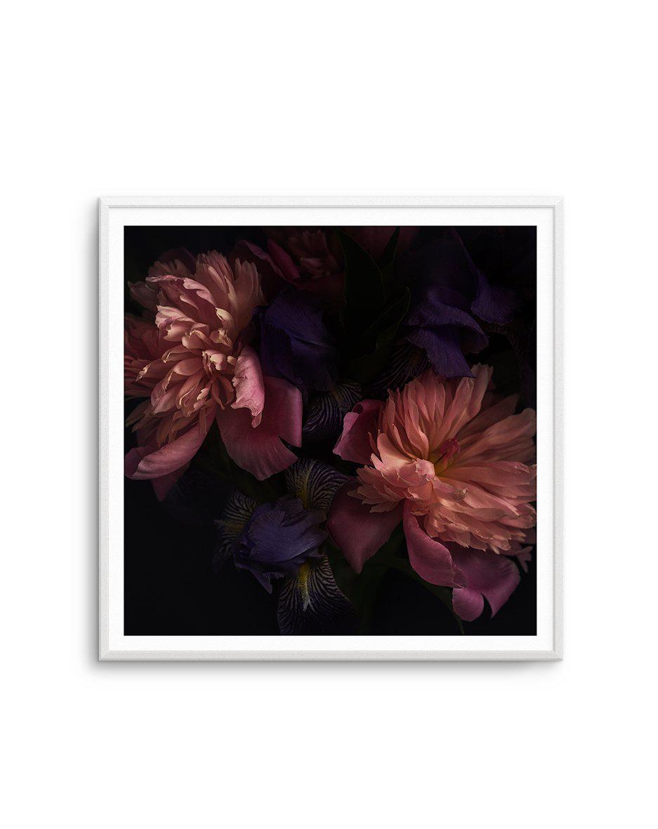 Botanica II SQ Art Print-PRINT-Olive et Oriel-Olive et Oriel-Buy-Australian-Art-Prints-Online-with-Olive-et-Oriel-Your-Artwork-Specialists-Austrailia-Decorate-With-Coastal-Photo-Wall-Art-Prints-From-Our-Beach-House-Artwork-Collection-Fine-Poster-and-Framed-Artwork