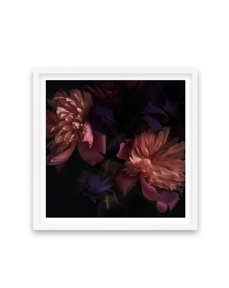 Botanica II SQ Art Print-PRINT-Olive et Oriel-Olive et Oriel-70x70 cm | 27.5" x 27.5"-White-With White Border-Buy-Australian-Art-Prints-Online-with-Olive-et-Oriel-Your-Artwork-Specialists-Austrailia-Decorate-With-Coastal-Photo-Wall-Art-Prints-From-Our-Beach-House-Artwork-Collection-Fine-Poster-and-Framed-Artwork