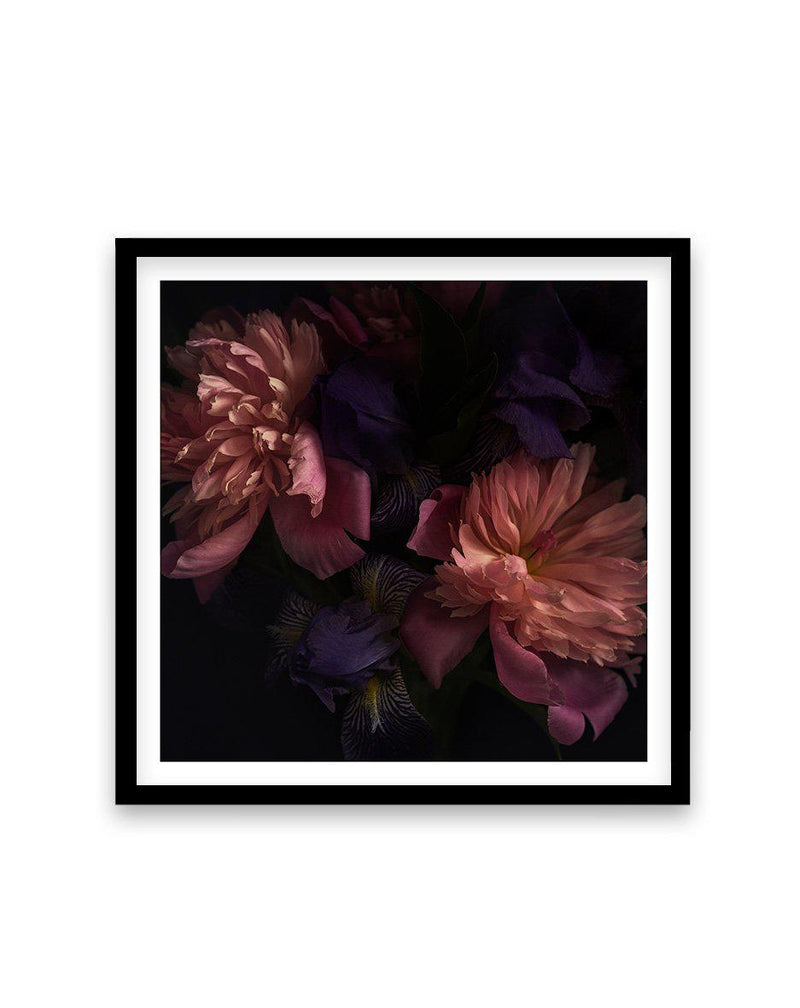 Botanica II SQ Art Print-PRINT-Olive et Oriel-Olive et Oriel-70x70 cm | 27.5" x 27.5"-Black-With White Border-Buy-Australian-Art-Prints-Online-with-Olive-et-Oriel-Your-Artwork-Specialists-Austrailia-Decorate-With-Coastal-Photo-Wall-Art-Prints-From-Our-Beach-House-Artwork-Collection-Fine-Poster-and-Framed-Artwork