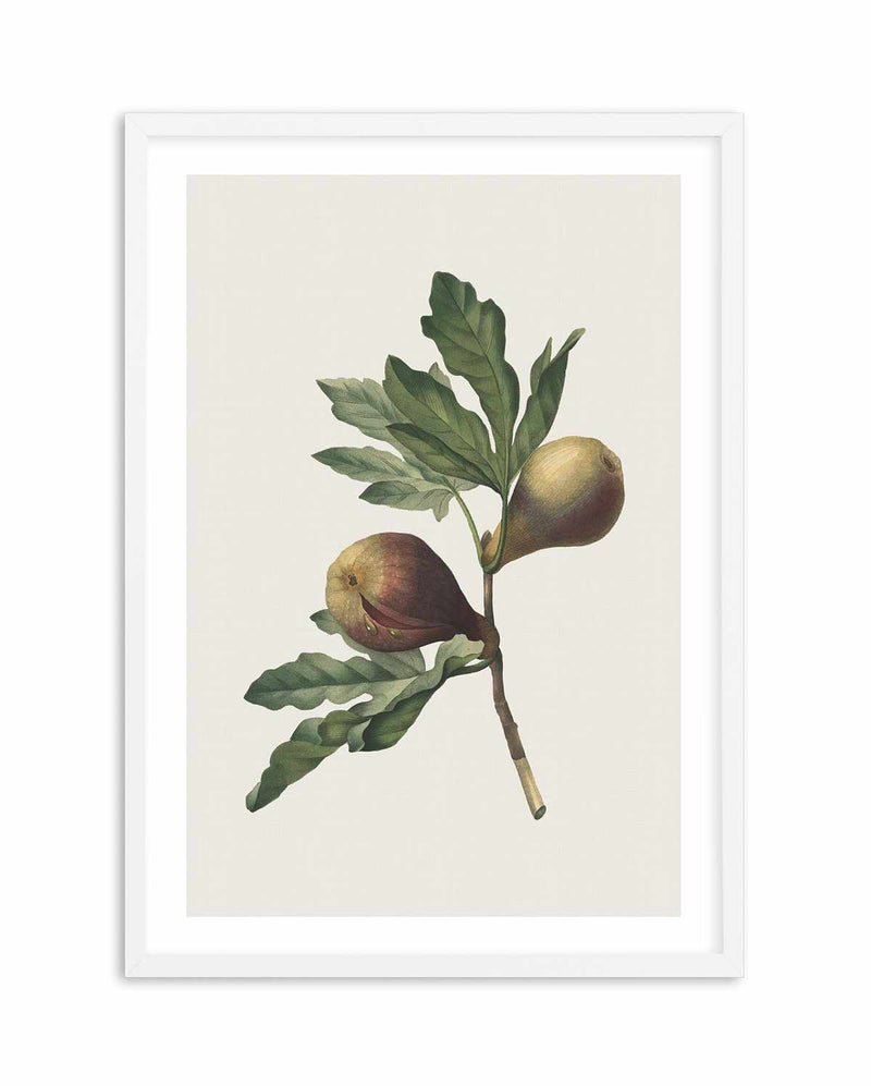 Botanica III Art Print-PRINT-Olive et Oriel-Olive et Oriel-A5 | 5.8" x 8.3" | 14.8 x 21cm-White-With White Border-Buy-Australian-Art-Prints-Online-with-Olive-et-Oriel-Your-Artwork-Specialists-Austrailia-Decorate-With-Coastal-Photo-Wall-Art-Prints-From-Our-Beach-House-Artwork-Collection-Fine-Poster-and-Framed-Artwork