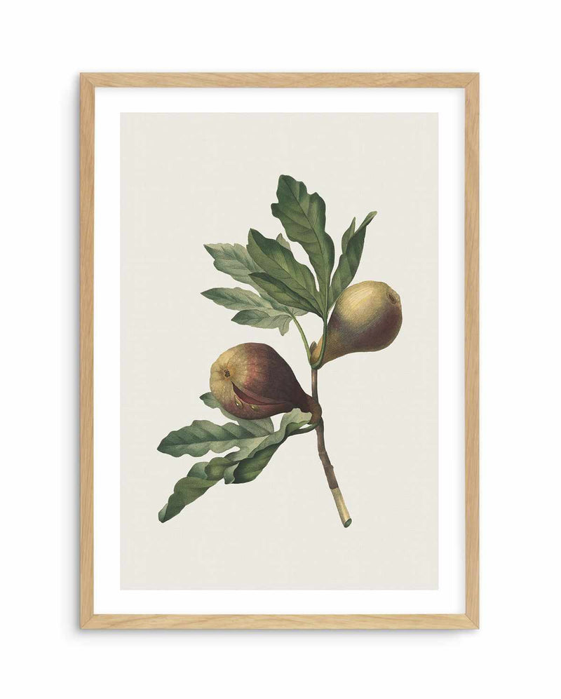 Botanica III Art Print-PRINT-Olive et Oriel-Olive et Oriel-A5 | 5.8" x 8.3" | 14.8 x 21cm-Oak-With White Border-Buy-Australian-Art-Prints-Online-with-Olive-et-Oriel-Your-Artwork-Specialists-Austrailia-Decorate-With-Coastal-Photo-Wall-Art-Prints-From-Our-Beach-House-Artwork-Collection-Fine-Poster-and-Framed-Artwork