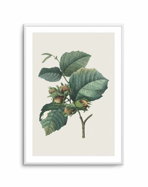 Botanica V Art Print-PRINT-Olive et Oriel-Olive et Oriel-A5 | 5.8" x 8.3" | 14.8 x 21cm-Unframed Art Print-With White Border-Buy-Australian-Art-Prints-Online-with-Olive-et-Oriel-Your-Artwork-Specialists-Austrailia-Decorate-With-Coastal-Photo-Wall-Art-Prints-From-Our-Beach-House-Artwork-Collection-Fine-Poster-and-Framed-Artwork