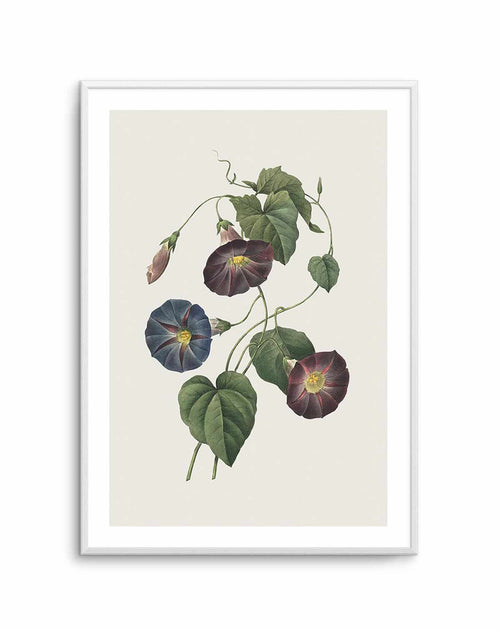 Botanica VI Art Print-PRINT-Olive et Oriel-Olive et Oriel-A5 | 5.8" x 8.3" | 14.8 x 21cm-Unframed Art Print-With White Border-Buy-Australian-Art-Prints-Online-with-Olive-et-Oriel-Your-Artwork-Specialists-Austrailia-Decorate-With-Coastal-Photo-Wall-Art-Prints-From-Our-Beach-House-Artwork-Collection-Fine-Poster-and-Framed-Artwork