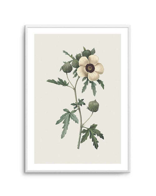 Botanica VII Art Print-PRINT-Olive et Oriel-Olive et Oriel-A5 | 5.8" x 8.3" | 14.8 x 21cm-Unframed Art Print-With White Border-Buy-Australian-Art-Prints-Online-with-Olive-et-Oriel-Your-Artwork-Specialists-Austrailia-Decorate-With-Coastal-Photo-Wall-Art-Prints-From-Our-Beach-House-Artwork-Collection-Fine-Poster-and-Framed-Artwork