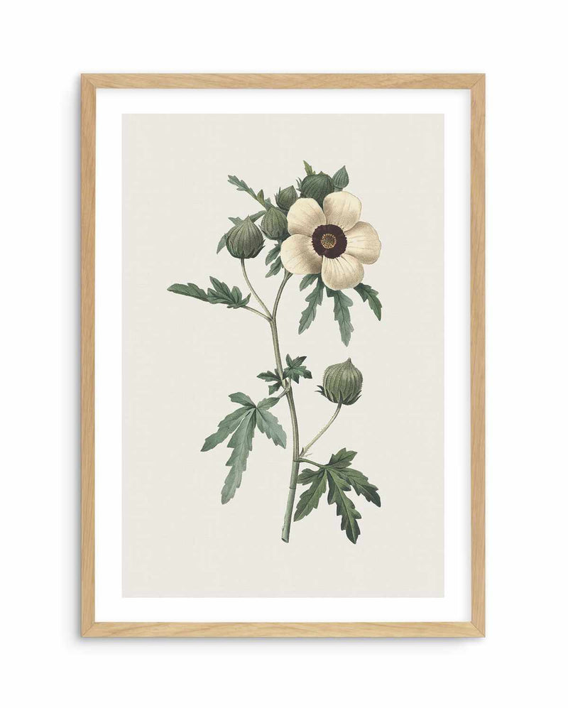 Botanica VII Art Print-PRINT-Olive et Oriel-Olive et Oriel-A5 | 5.8" x 8.3" | 14.8 x 21cm-Oak-With White Border-Buy-Australian-Art-Prints-Online-with-Olive-et-Oriel-Your-Artwork-Specialists-Austrailia-Decorate-With-Coastal-Photo-Wall-Art-Prints-From-Our-Beach-House-Artwork-Collection-Fine-Poster-and-Framed-Artwork