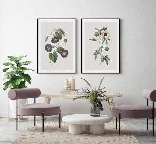 Botanica VII Art Print-PRINT-Olive et Oriel-Olive et Oriel-Buy-Australian-Art-Prints-Online-with-Olive-et-Oriel-Your-Artwork-Specialists-Austrailia-Decorate-With-Coastal-Photo-Wall-Art-Prints-From-Our-Beach-House-Artwork-Collection-Fine-Poster-and-Framed-Artwork