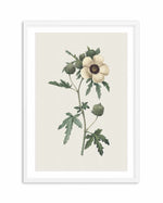 Botanica VII Art Print-PRINT-Olive et Oriel-Olive et Oriel-A5 | 5.8" x 8.3" | 14.8 x 21cm-White-With White Border-Buy-Australian-Art-Prints-Online-with-Olive-et-Oriel-Your-Artwork-Specialists-Austrailia-Decorate-With-Coastal-Photo-Wall-Art-Prints-From-Our-Beach-House-Artwork-Collection-Fine-Poster-and-Framed-Artwork