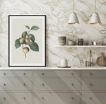 Botanica VIII Art Print-PRINT-Olive et Oriel-Olive et Oriel-Buy-Australian-Art-Prints-Online-with-Olive-et-Oriel-Your-Artwork-Specialists-Austrailia-Decorate-With-Coastal-Photo-Wall-Art-Prints-From-Our-Beach-House-Artwork-Collection-Fine-Poster-and-Framed-Artwork