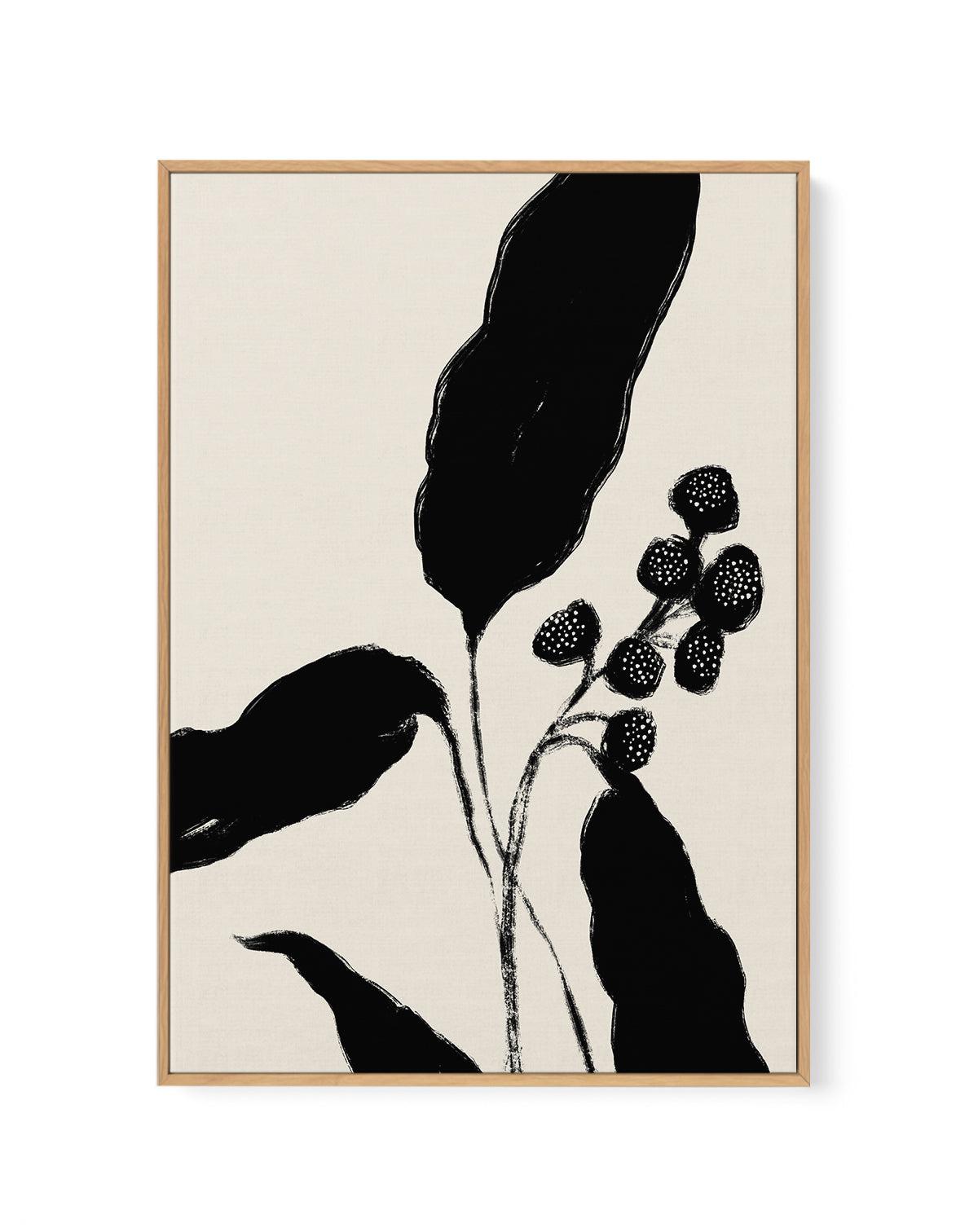 Botanical Form | Framed Canvas-CANVAS-You can shop wall art online with Olive et Oriel for everything from abstract art to fun kids wall art. Our beautiful modern art prints and canvas art are available from large canvas prints to wall art paintings and our proudly Australian artwork collection offers only the highest quality framed large wall art and canvas art Australia - You can buy fashion photography prints or Hampton print posters and paintings on canvas from Olive et Oriel and have them d