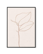 Botanical II | Framed Canvas-CANVAS-You can shop wall art online with Olive et Oriel for everything from abstract art to fun kids wall art. Our beautiful modern art prints and canvas art are available from large canvas prints to wall art paintings and our proudly Australian artwork collection offers only the highest quality framed large wall art and canvas art Australia - You can buy fashion photography prints or Hampton print posters and paintings on canvas from Olive et Oriel and have them del
