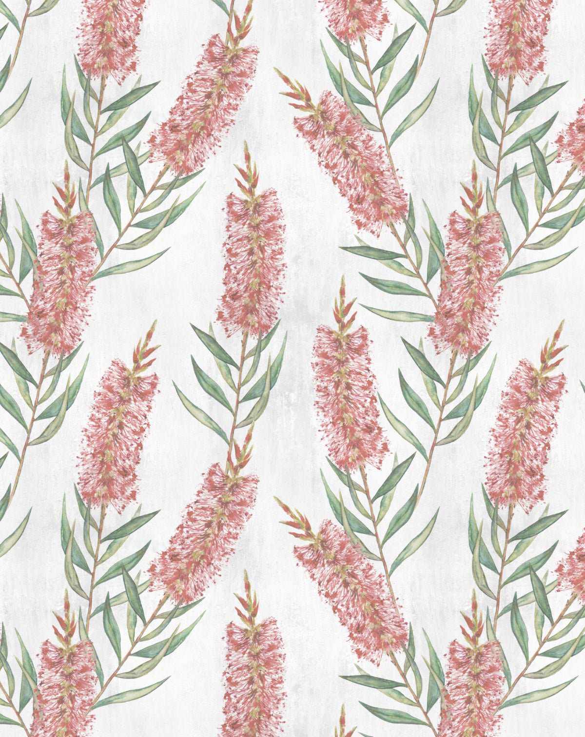 Bottlebrush Flowers in Red Wallpaper - Olive et Oriel