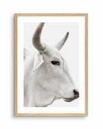 Bovine Art Print-PRINT-Olive et Oriel-Olive et Oriel-A5 | 5.8" x 8.3" | 14.8 x 21cm-Oak-With White Border-Buy-Australian-Art-Prints-Online-with-Olive-et-Oriel-Your-Artwork-Specialists-Austrailia-Decorate-With-Coastal-Photo-Wall-Art-Prints-From-Our-Beach-House-Artwork-Collection-Fine-Poster-and-Framed-Artwork