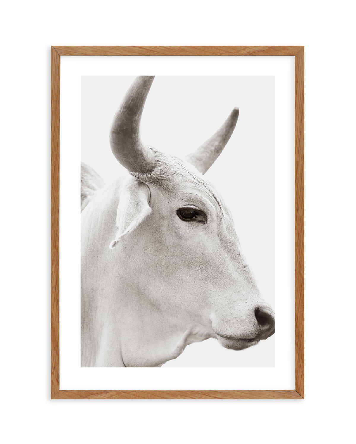 Bovine Art Print-PRINT-Olive et Oriel-Olive et Oriel-50x70 cm | 19.6" x 27.5"-Walnut-With White Border-Buy-Australian-Art-Prints-Online-with-Olive-et-Oriel-Your-Artwork-Specialists-Austrailia-Decorate-With-Coastal-Photo-Wall-Art-Prints-From-Our-Beach-House-Artwork-Collection-Fine-Poster-and-Framed-Artwork