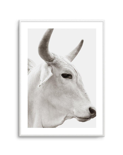Bovine Art Print-PRINT-Olive et Oriel-Olive et Oriel-A5 | 5.8" x 8.3" | 14.8 x 21cm-Unframed Art Print-With White Border-Buy-Australian-Art-Prints-Online-with-Olive-et-Oriel-Your-Artwork-Specialists-Austrailia-Decorate-With-Coastal-Photo-Wall-Art-Prints-From-Our-Beach-House-Artwork-Collection-Fine-Poster-and-Framed-Artwork