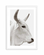 Bovine Art Print-PRINT-Olive et Oriel-Olive et Oriel-A5 | 5.8" x 8.3" | 14.8 x 21cm-White-With White Border-Buy-Australian-Art-Prints-Online-with-Olive-et-Oriel-Your-Artwork-Specialists-Austrailia-Decorate-With-Coastal-Photo-Wall-Art-Prints-From-Our-Beach-House-Artwork-Collection-Fine-Poster-and-Framed-Artwork
