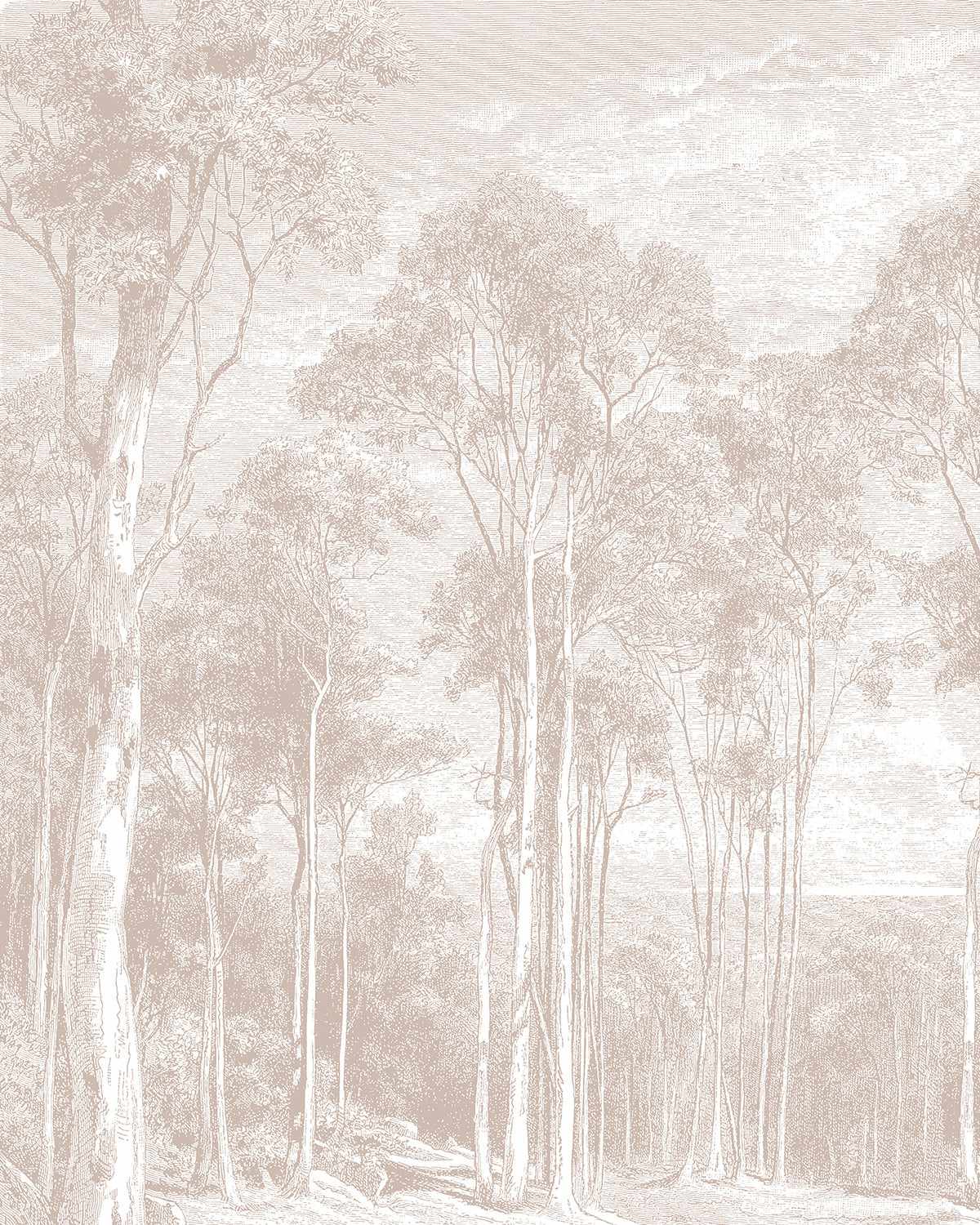 Eucalyptus Trees in Red Gum Wallpaper Mural