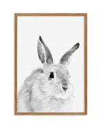 Bunny | B&W Art Print-PRINT-Olive et Oriel-Olive et Oriel-50x70 cm | 19.6" x 27.5"-Walnut-With White Border-Buy-Australian-Art-Prints-Online-with-Olive-et-Oriel-Your-Artwork-Specialists-Austrailia-Decorate-With-Coastal-Photo-Wall-Art-Prints-From-Our-Beach-House-Artwork-Collection-Fine-Poster-and-Framed-Artwork
