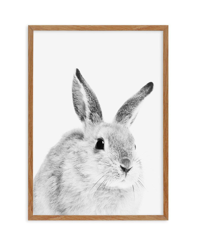 Bunny | B&W Art Print-PRINT-Olive et Oriel-Olive et Oriel-50x70 cm | 19.6" x 27.5"-Walnut-With White Border-Buy-Australian-Art-Prints-Online-with-Olive-et-Oriel-Your-Artwork-Specialists-Austrailia-Decorate-With-Coastal-Photo-Wall-Art-Prints-From-Our-Beach-House-Artwork-Collection-Fine-Poster-and-Framed-Artwork
