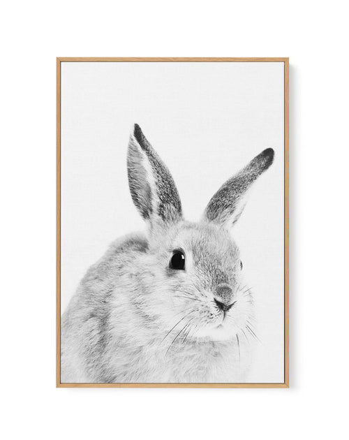 Bunny | B&W | Framed Canvas-CANVAS-You can shop wall art online with Olive et Oriel for everything from abstract art to fun kids wall art. Our beautiful modern art prints and canvas art are available from large canvas prints to wall art paintings and our proudly Australian artwork collection offers only the highest quality framed large wall art and canvas art Australia - You can buy fashion photography prints or Hampton print posters and paintings on canvas from Olive et Oriel and have them deli