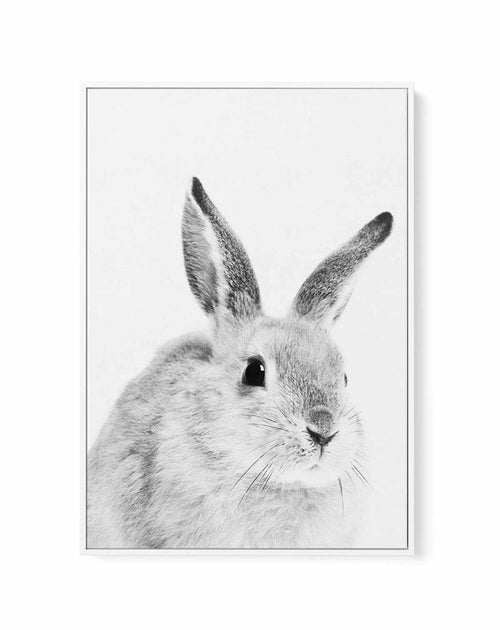 Bunny | B&W | Framed Canvas-CANVAS-You can shop wall art online with Olive et Oriel for everything from abstract art to fun kids wall art. Our beautiful modern art prints and canvas art are available from large canvas prints to wall art paintings and our proudly Australian artwork collection offers only the highest quality framed large wall art and canvas art Australia - You can buy fashion photography prints or Hampton print posters and paintings on canvas from Olive et Oriel and have them deli