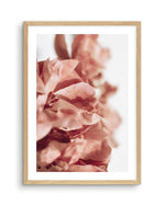 Burnt Peony I Art Print-PRINT-Olive et Oriel-Olive et Oriel-A4 | 8.3" x 11.7" | 21 x 29.7cm-Oak-With White Border-Buy-Australian-Art-Prints-Online-with-Olive-et-Oriel-Your-Artwork-Specialists-Austrailia-Decorate-With-Coastal-Photo-Wall-Art-Prints-From-Our-Beach-House-Artwork-Collection-Fine-Poster-and-Framed-Artwork