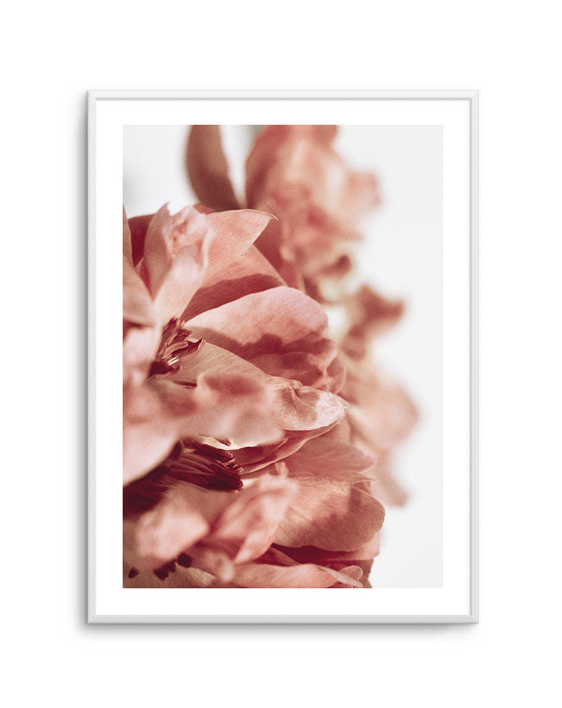 Burnt Peony I Art Print-PRINT-Olive et Oriel-Olive et Oriel-A4 | 8.3" x 11.7" | 21 x 29.7cm-Unframed Art Print-With White Border-Buy-Australian-Art-Prints-Online-with-Olive-et-Oriel-Your-Artwork-Specialists-Austrailia-Decorate-With-Coastal-Photo-Wall-Art-Prints-From-Our-Beach-House-Artwork-Collection-Fine-Poster-and-Framed-Artwork