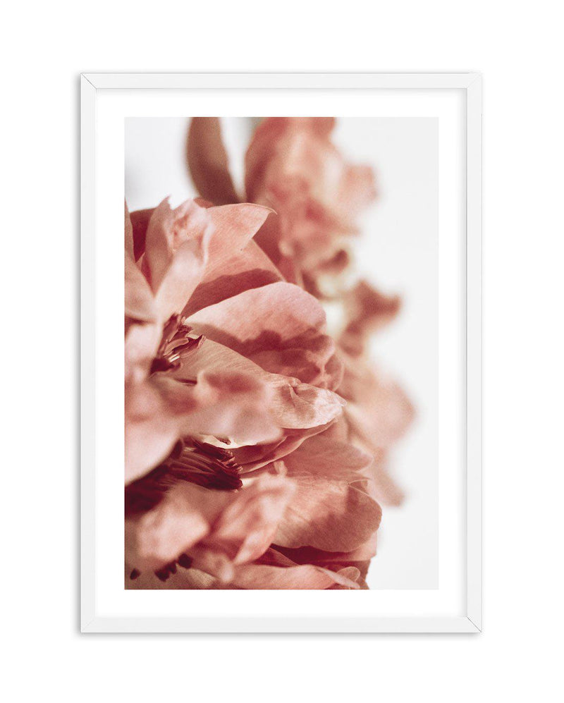 Burnt Peony I Art Print-PRINT-Olive et Oriel-Olive et Oriel-A4 | 8.3" x 11.7" | 21 x 29.7cm-White-With White Border-Buy-Australian-Art-Prints-Online-with-Olive-et-Oriel-Your-Artwork-Specialists-Austrailia-Decorate-With-Coastal-Photo-Wall-Art-Prints-From-Our-Beach-House-Artwork-Collection-Fine-Poster-and-Framed-Artwork