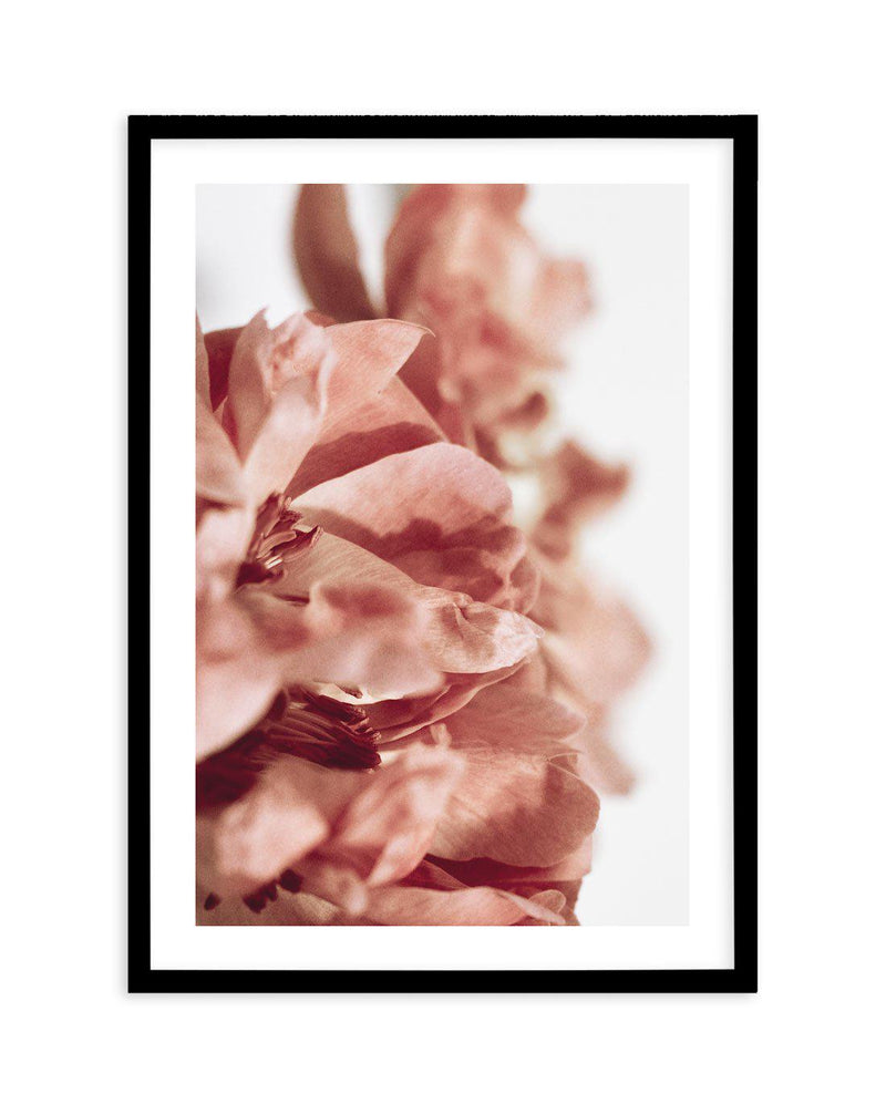 Burnt Peony I Art Print-PRINT-Olive et Oriel-Olive et Oriel-A4 | 8.3" x 11.7" | 21 x 29.7cm-Black-With White Border-Buy-Australian-Art-Prints-Online-with-Olive-et-Oriel-Your-Artwork-Specialists-Austrailia-Decorate-With-Coastal-Photo-Wall-Art-Prints-From-Our-Beach-House-Artwork-Collection-Fine-Poster-and-Framed-Artwork