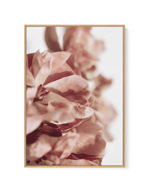 Burnt Peony I | Framed Canvas-CANVAS-You can shop wall art online with Olive et Oriel for everything from abstract art to fun kids wall art. Our beautiful modern art prints and canvas art are available from large canvas prints to wall art paintings and our proudly Australian artwork collection offers only the highest quality framed large wall art and canvas art Australia - You can buy fashion photography prints or Hampton print posters and paintings on canvas from Olive et Oriel and have them de
