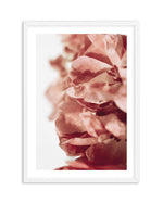Burnt Peony II Art Print-PRINT-Olive et Oriel-Olive et Oriel-A5 | 5.8" x 8.3" | 14.8 x 21cm-White-With White Border-Buy-Australian-Art-Prints-Online-with-Olive-et-Oriel-Your-Artwork-Specialists-Austrailia-Decorate-With-Coastal-Photo-Wall-Art-Prints-From-Our-Beach-House-Artwork-Collection-Fine-Poster-and-Framed-Artwork