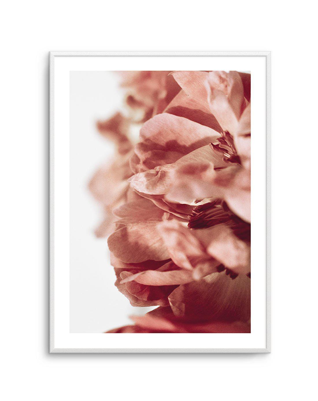 Burnt Peony II Art Print-PRINT-Olive et Oriel-Olive et Oriel-A5 | 5.8" x 8.3" | 14.8 x 21cm-Unframed Art Print-With White Border-Buy-Australian-Art-Prints-Online-with-Olive-et-Oriel-Your-Artwork-Specialists-Austrailia-Decorate-With-Coastal-Photo-Wall-Art-Prints-From-Our-Beach-House-Artwork-Collection-Fine-Poster-and-Framed-Artwork