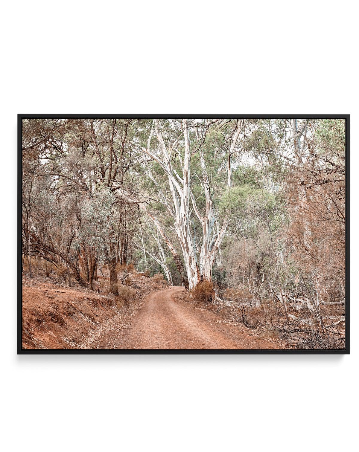 Bush Tracks | Framed Canvas-CANVAS-You can shop wall art online with Olive et Oriel for everything from abstract art to fun kids wall art. Our beautiful modern art prints and canvas art are available from large canvas prints to wall art paintings and our proudly Australian artwork collection offers only the highest quality framed large wall art and canvas art Australia - You can buy fashion photography prints or Hampton print posters and paintings on canvas from Olive et Oriel and have them deli