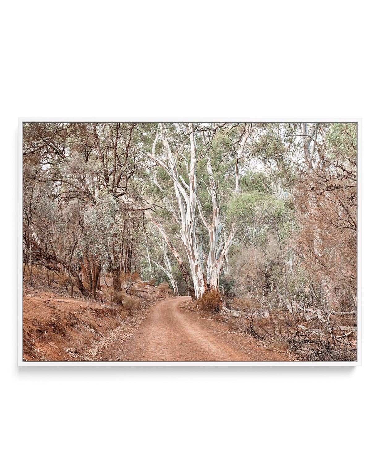 Bush Tracks | Framed Canvas-CANVAS-You can shop wall art online with Olive et Oriel for everything from abstract art to fun kids wall art. Our beautiful modern art prints and canvas art are available from large canvas prints to wall art paintings and our proudly Australian artwork collection offers only the highest quality framed large wall art and canvas art Australia - You can buy fashion photography prints or Hampton print posters and paintings on canvas from Olive et Oriel and have them deli