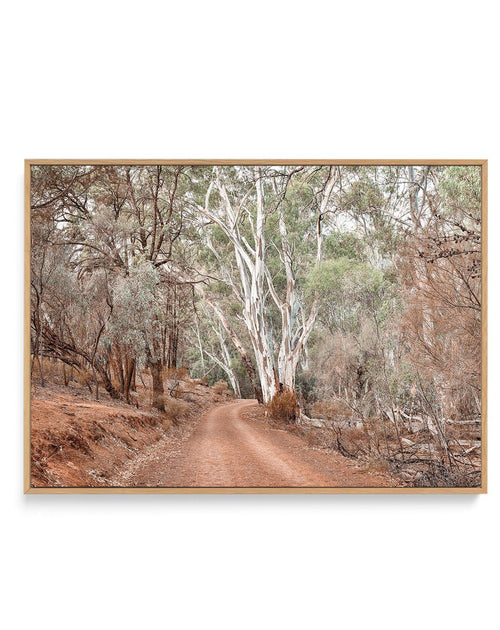 Bush Tracks | Framed Canvas-CANVAS-You can shop wall art online with Olive et Oriel for everything from abstract art to fun kids wall art. Our beautiful modern art prints and canvas art are available from large canvas prints to wall art paintings and our proudly Australian artwork collection offers only the highest quality framed large wall art and canvas art Australia - You can buy fashion photography prints or Hampton print posters and paintings on canvas from Olive et Oriel and have them deli