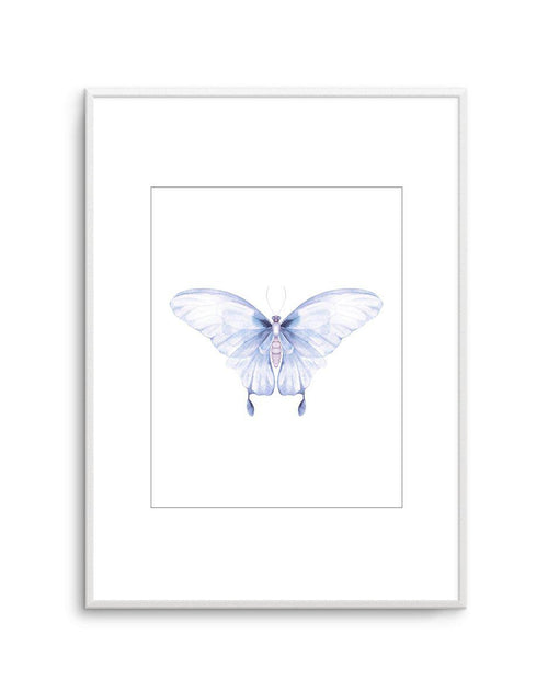 Butterfly I Art Print-PRINT-Olive et Oriel-Olive et Oriel-A5 | 5.8" x 8.3" | 14.8 x 21cm-Unframed Art Print-With White Border-Buy-Australian-Art-Prints-Online-with-Olive-et-Oriel-Your-Artwork-Specialists-Austrailia-Decorate-With-Coastal-Photo-Wall-Art-Prints-From-Our-Beach-House-Artwork-Collection-Fine-Poster-and-Framed-Artwork