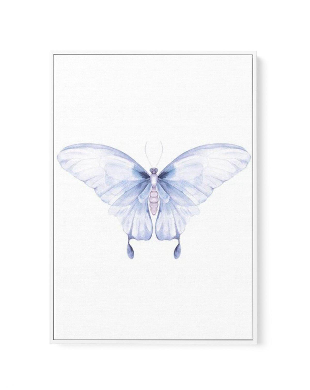 Butterfly I | Framed Canvas-CANVAS-You can shop wall art online with Olive et Oriel for everything from abstract art to fun kids wall art. Our beautiful modern art prints and canvas art are available from large canvas prints to wall art paintings and our proudly Australian artwork collection offers only the highest quality framed large wall art and canvas art Australia - You can buy fashion photography prints or Hampton print posters and paintings on canvas from Olive et Oriel and have them deli