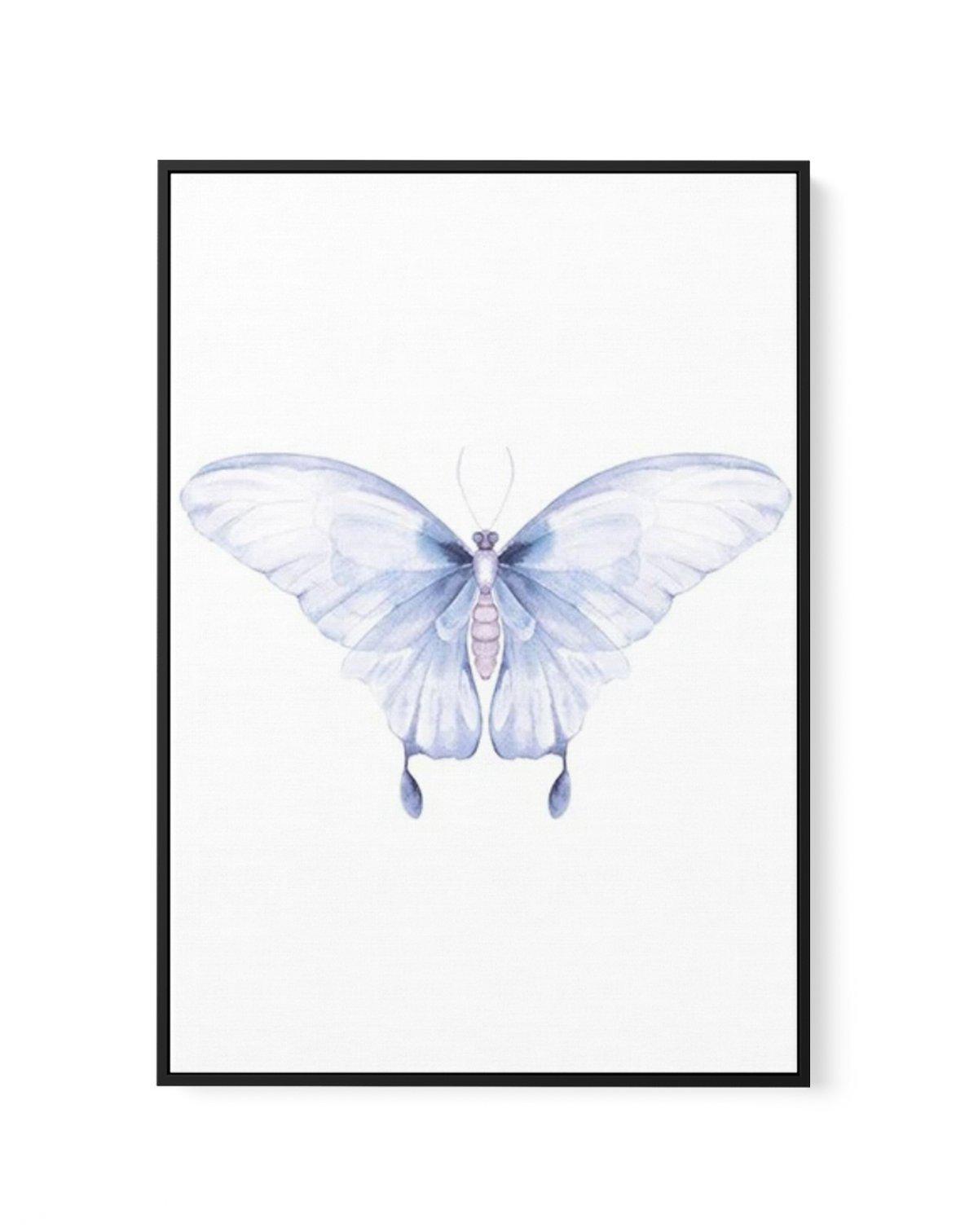 Butterfly I | Framed Canvas-CANVAS-You can shop wall art online with Olive et Oriel for everything from abstract art to fun kids wall art. Our beautiful modern art prints and canvas art are available from large canvas prints to wall art paintings and our proudly Australian artwork collection offers only the highest quality framed large wall art and canvas art Australia - You can buy fashion photography prints or Hampton print posters and paintings on canvas from Olive et Oriel and have them deli