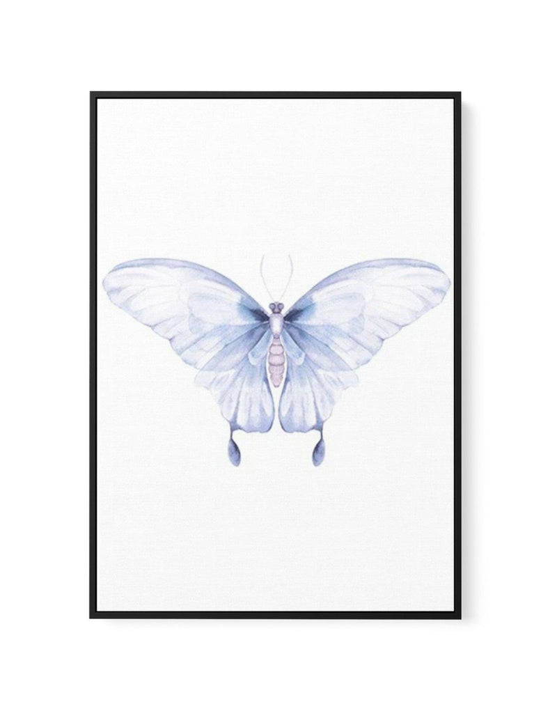 Butterfly I | Framed Canvas-CANVAS-You can shop wall art online with Olive et Oriel for everything from abstract art to fun kids wall art. Our beautiful modern art prints and canvas art are available from large canvas prints to wall art paintings and our proudly Australian artwork collection offers only the highest quality framed large wall art and canvas art Australia - You can buy fashion photography prints or Hampton print posters and paintings on canvas from Olive et Oriel and have them deli