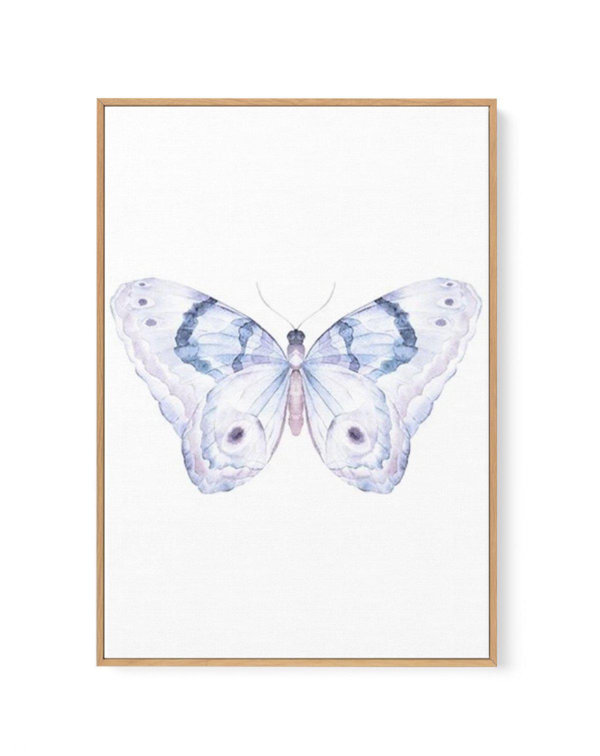 Butterfly II | Framed Canvas-CANVAS-You can shop wall art online with Olive et Oriel for everything from abstract art to fun kids wall art. Our beautiful modern art prints and canvas art are available from large canvas prints to wall art paintings and our proudly Australian artwork collection offers only the highest quality framed large wall art and canvas art Australia - You can buy fashion photography prints or Hampton print posters and paintings on canvas from Olive et Oriel and have them del