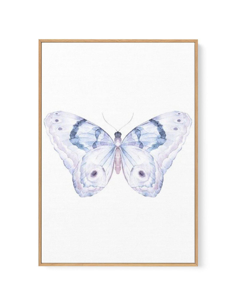 Butterfly II | Framed Canvas-CANVAS-You can shop wall art online with Olive et Oriel for everything from abstract art to fun kids wall art. Our beautiful modern art prints and canvas art are available from large canvas prints to wall art paintings and our proudly Australian artwork collection offers only the highest quality framed large wall art and canvas art Australia - You can buy fashion photography prints or Hampton print posters and paintings on canvas from Olive et Oriel and have them del