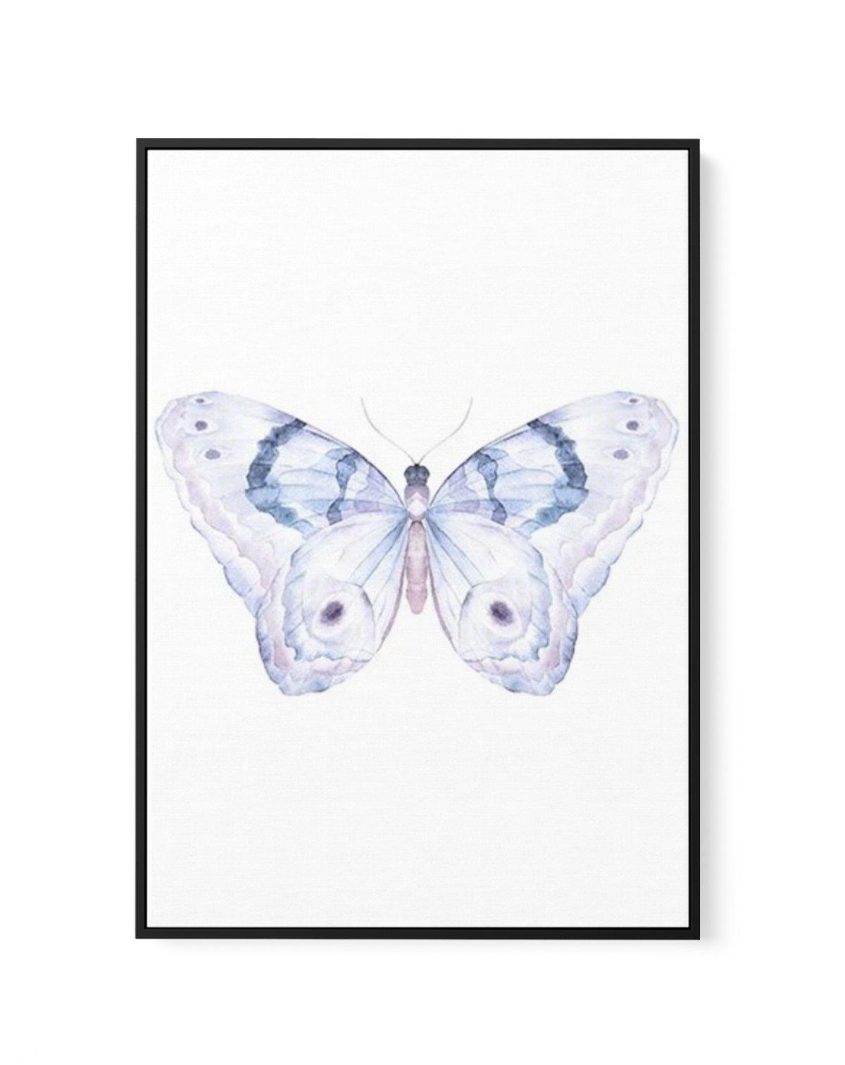 Butterfly II | Framed Canvas-CANVAS-You can shop wall art online with Olive et Oriel for everything from abstract art to fun kids wall art. Our beautiful modern art prints and canvas art are available from large canvas prints to wall art paintings and our proudly Australian artwork collection offers only the highest quality framed large wall art and canvas art Australia - You can buy fashion photography prints or Hampton print posters and paintings on canvas from Olive et Oriel and have them del