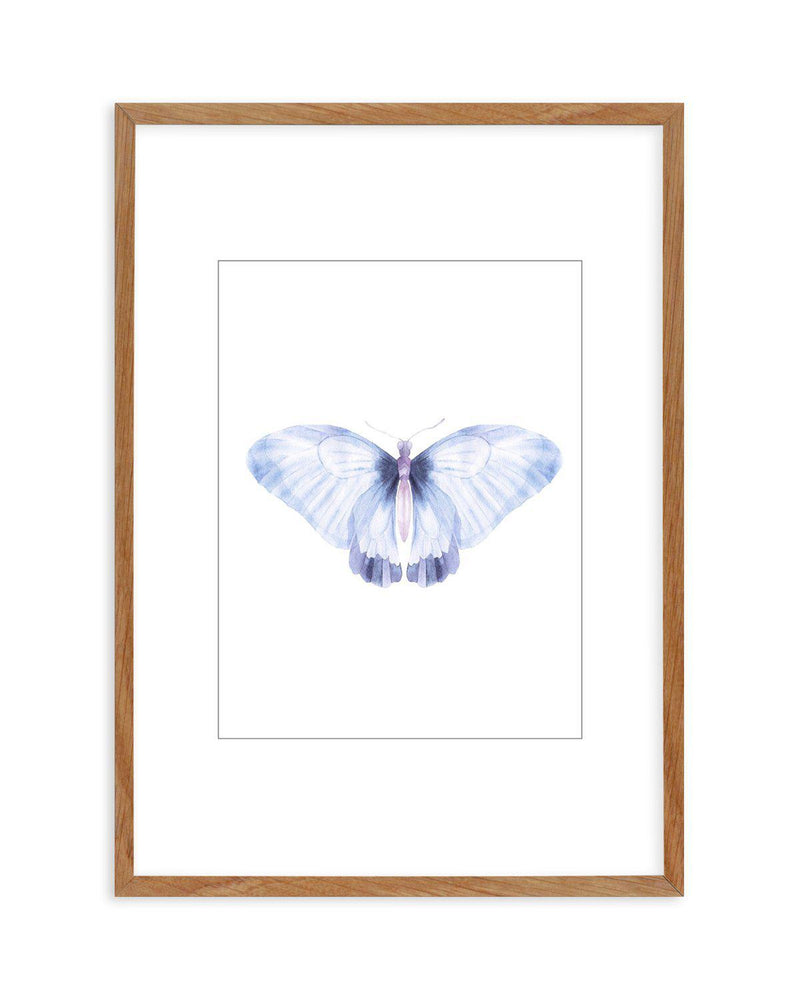 Butterfly III Art Print-PRINT-Olive et Oriel-Olive et Oriel-50x70 cm | 19.6" x 27.5"-Walnut-With White Border-Buy-Australian-Art-Prints-Online-with-Olive-et-Oriel-Your-Artwork-Specialists-Austrailia-Decorate-With-Coastal-Photo-Wall-Art-Prints-From-Our-Beach-House-Artwork-Collection-Fine-Poster-and-Framed-Artwork