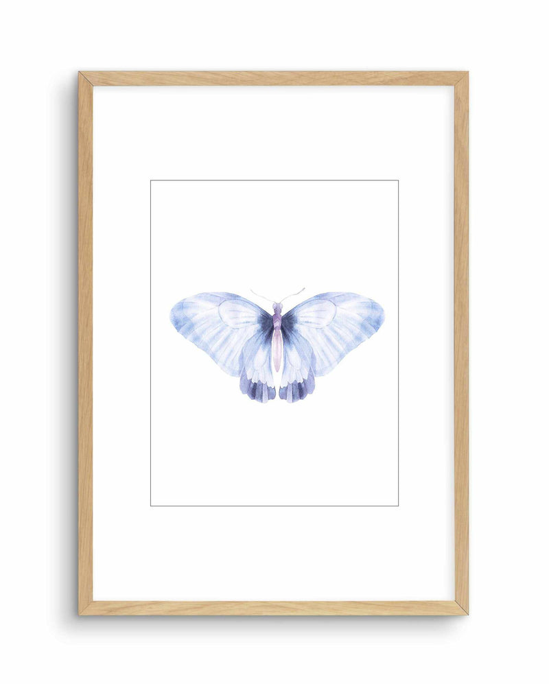 Butterfly III Art Print-PRINT-Olive et Oriel-Olive et Oriel-A5 | 5.8" x 8.3" | 14.8 x 21cm-Oak-With White Border-Buy-Australian-Art-Prints-Online-with-Olive-et-Oriel-Your-Artwork-Specialists-Austrailia-Decorate-With-Coastal-Photo-Wall-Art-Prints-From-Our-Beach-House-Artwork-Collection-Fine-Poster-and-Framed-Artwork