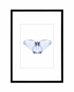 Butterfly III Art Print-PRINT-Olive et Oriel-Olive et Oriel-A5 | 5.8" x 8.3" | 14.8 x 21cm-Black-With White Border-Buy-Australian-Art-Prints-Online-with-Olive-et-Oriel-Your-Artwork-Specialists-Austrailia-Decorate-With-Coastal-Photo-Wall-Art-Prints-From-Our-Beach-House-Artwork-Collection-Fine-Poster-and-Framed-Artwork