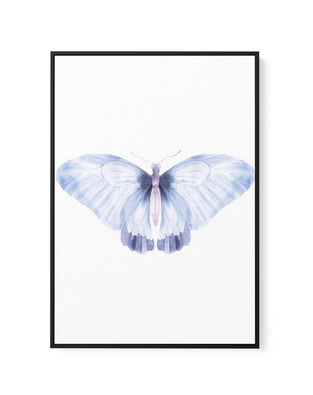 Butterfly III | Framed Canvas-CANVAS-You can shop wall art online with Olive et Oriel for everything from abstract art to fun kids wall art. Our beautiful modern art prints and canvas art are available from large canvas prints to wall art paintings and our proudly Australian artwork collection offers only the highest quality framed large wall art and canvas art Australia - You can buy fashion photography prints or Hampton print posters and paintings on canvas from Olive et Oriel and have them de